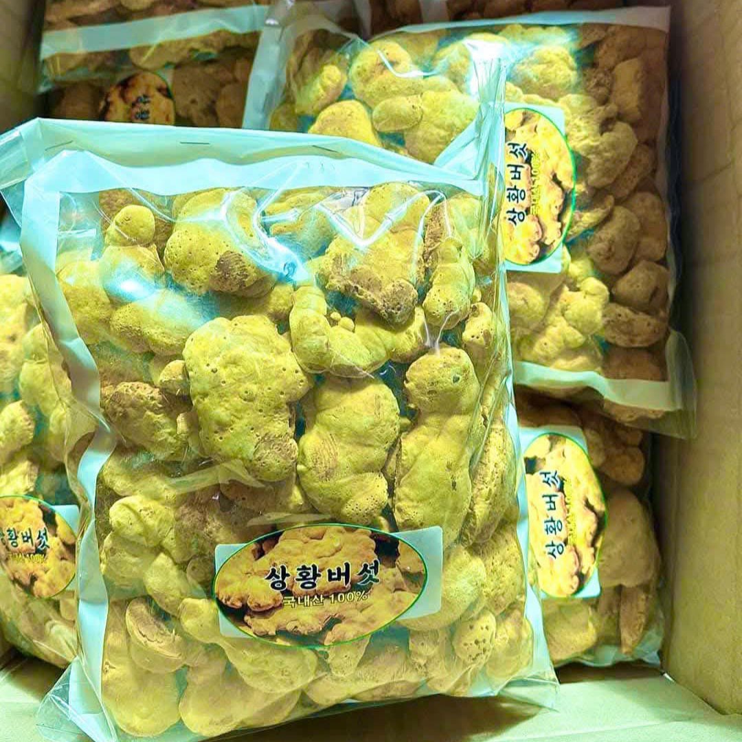 NẤM THƯỢNG HOÀNG LÁ NHỎ TÚI 1KG