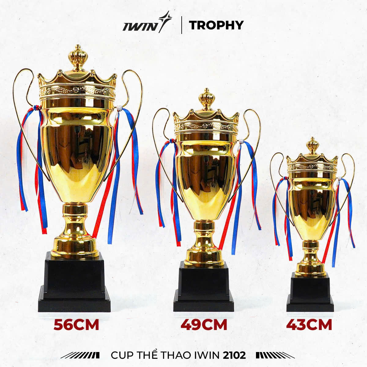 CÚP VÔ ĐỊCH MẪU 02