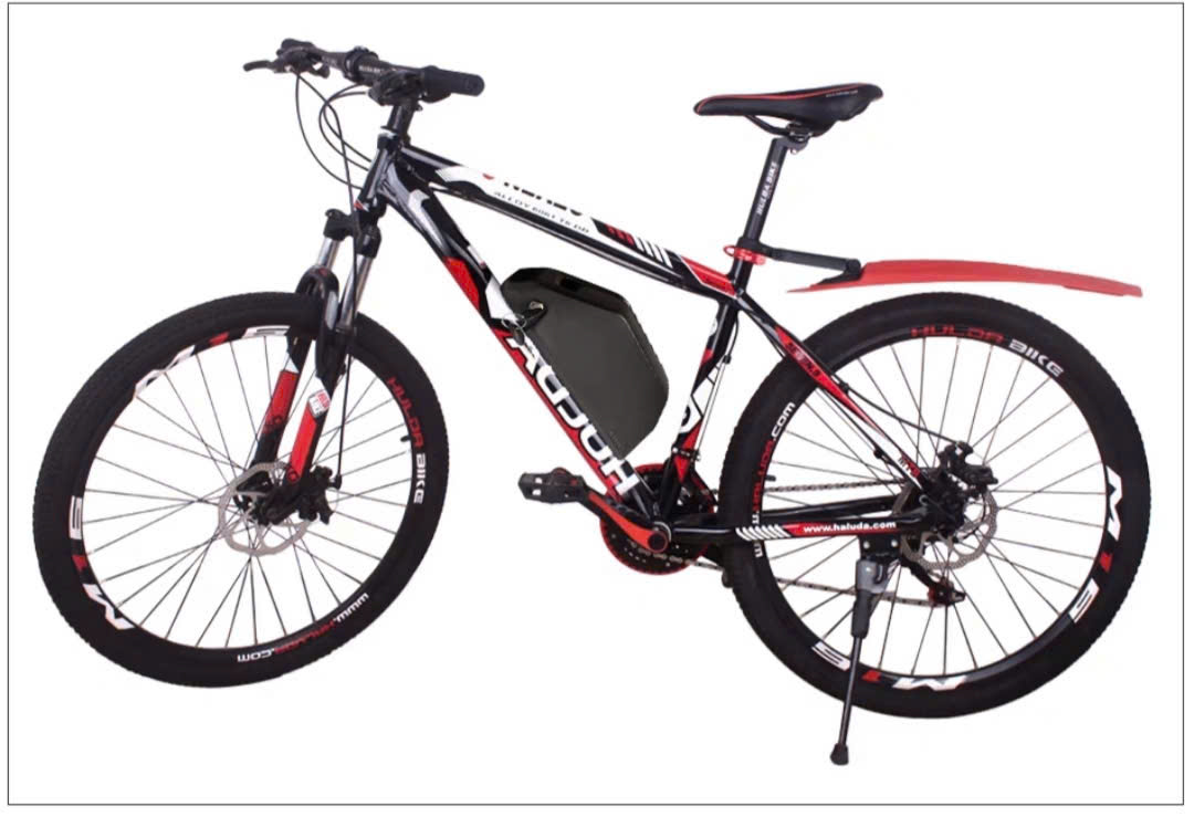 Pin xe đạp điện 36V12Ah Chính hãng, tặng sạc 5A