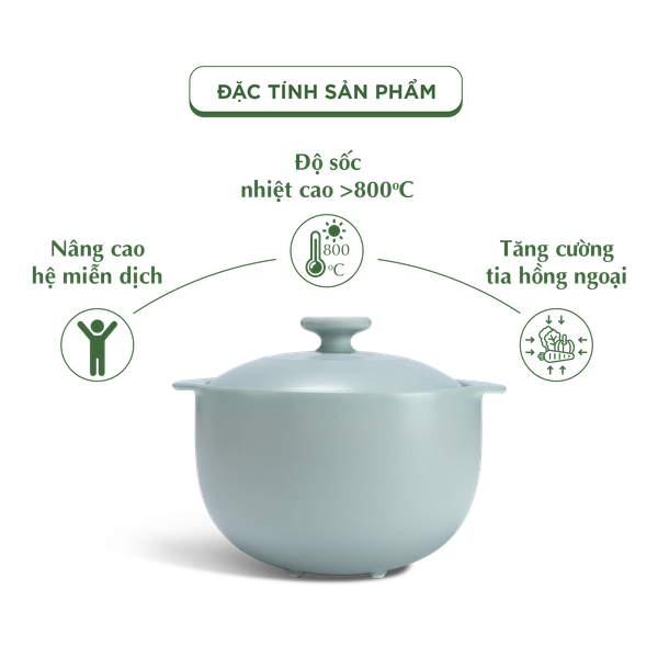 Nồi dưỡng sinh Vesta 2.0 L + nắp (CK) - Healthy Cook - Màu Xám 2