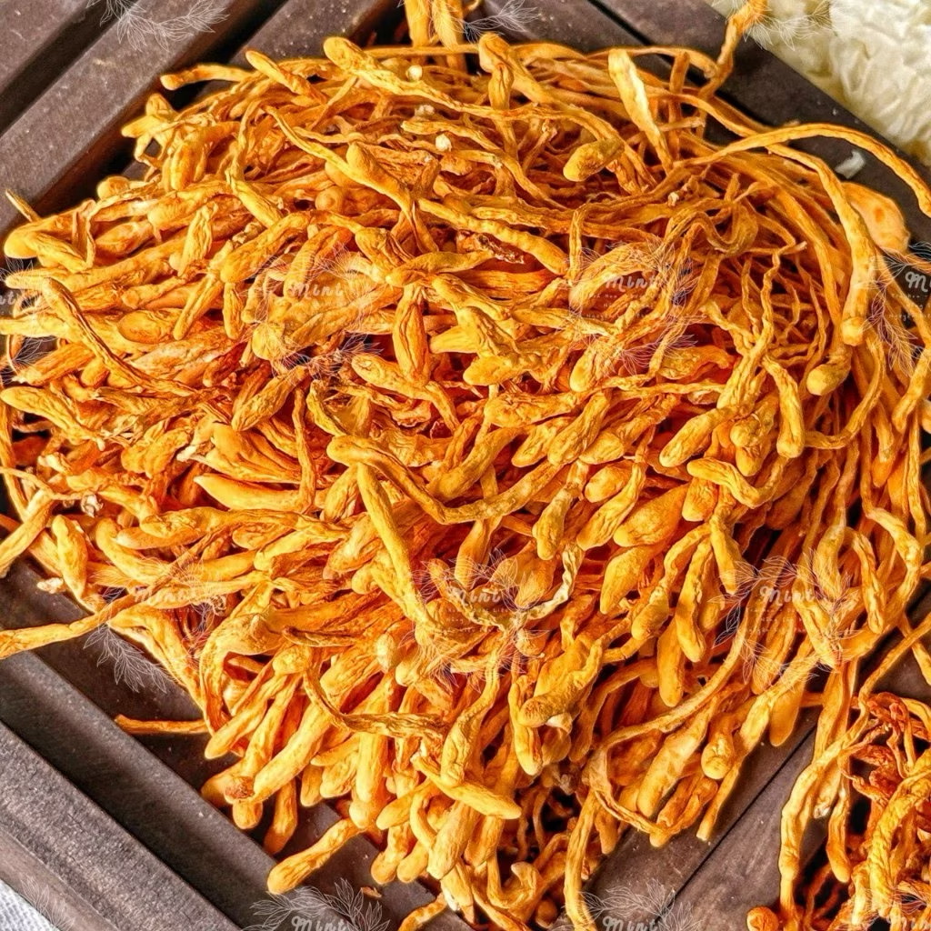 100g nấm đông trùng khô