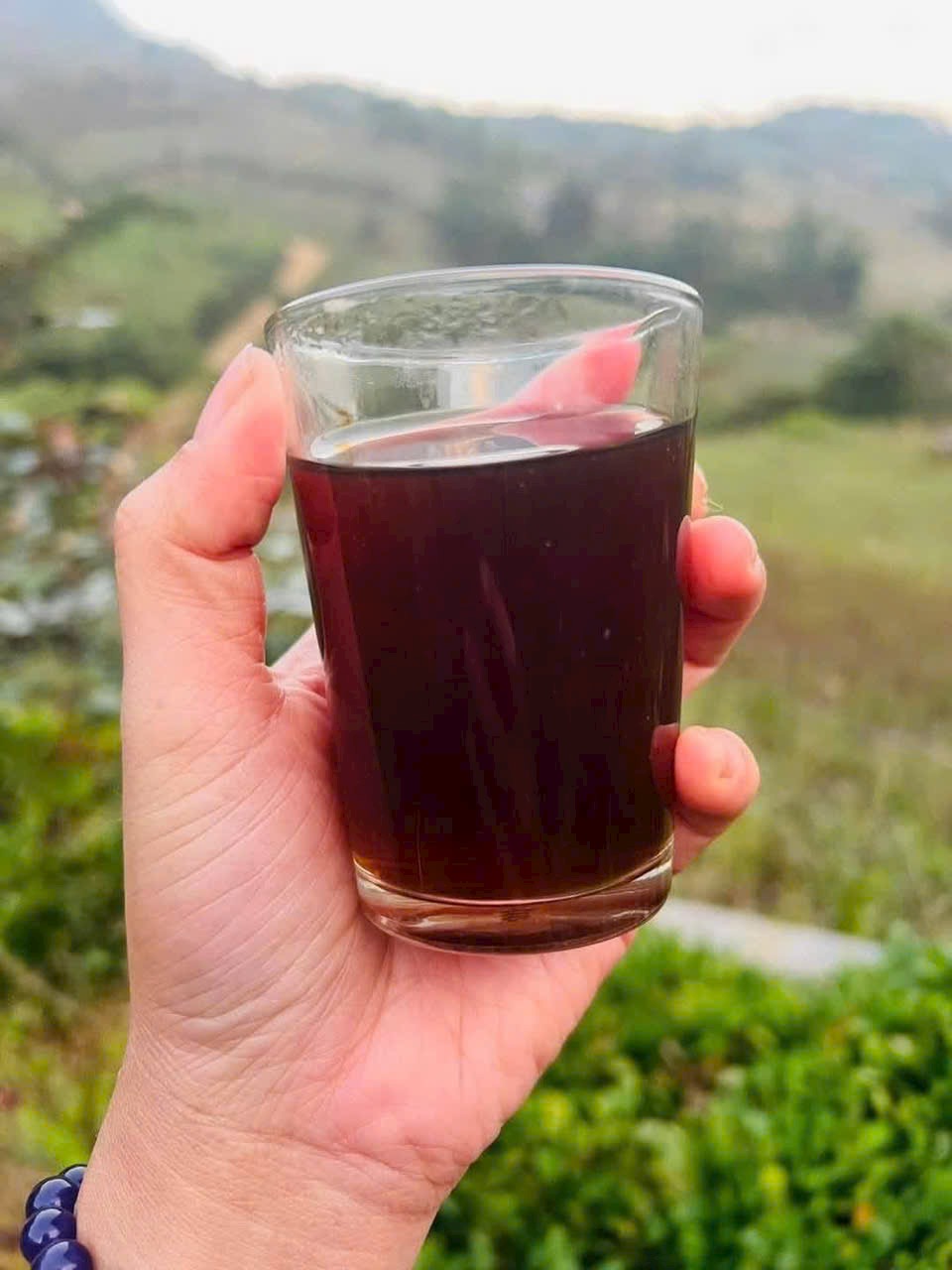 Cao tía tô cô đặc thuần tự nhiên