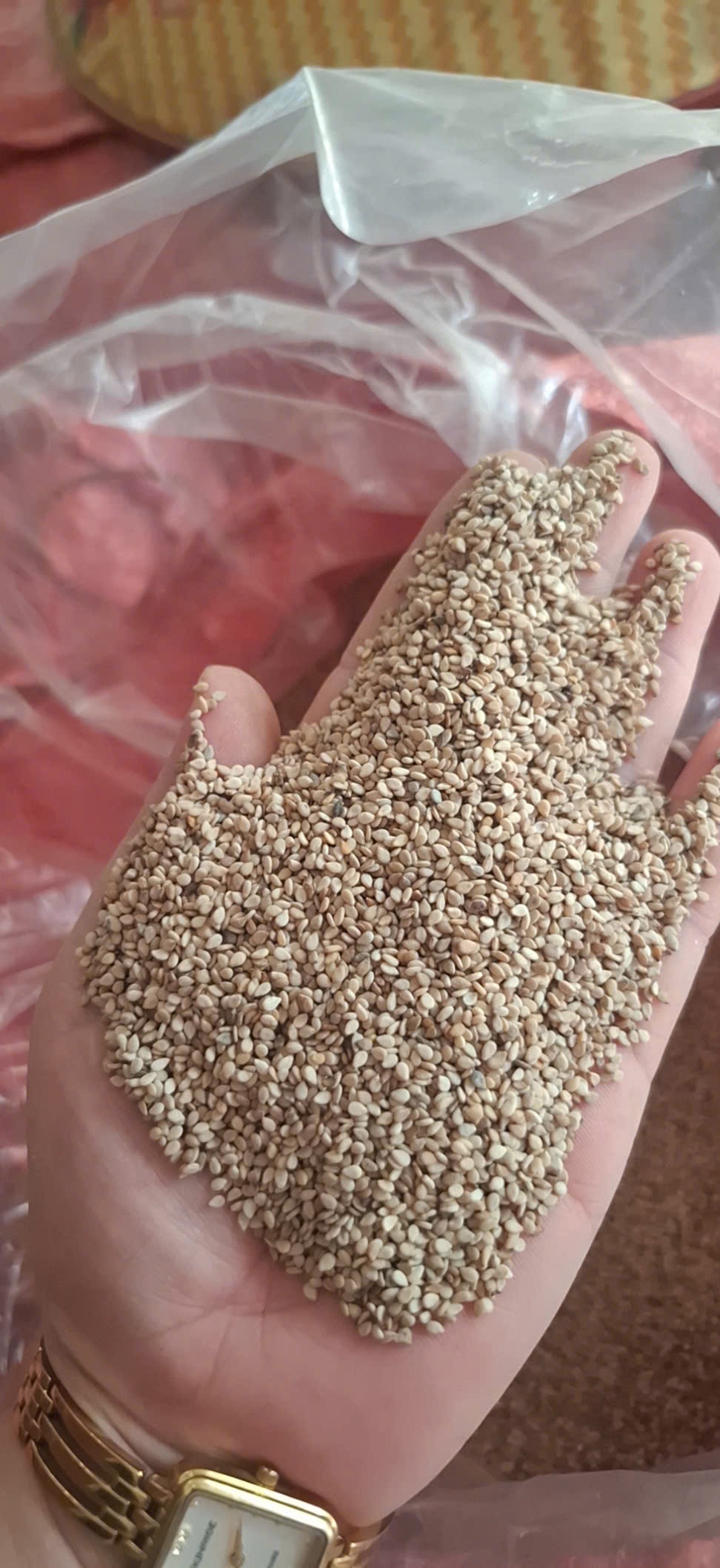 1kg vừng tấm cổ vừng trắng cổ