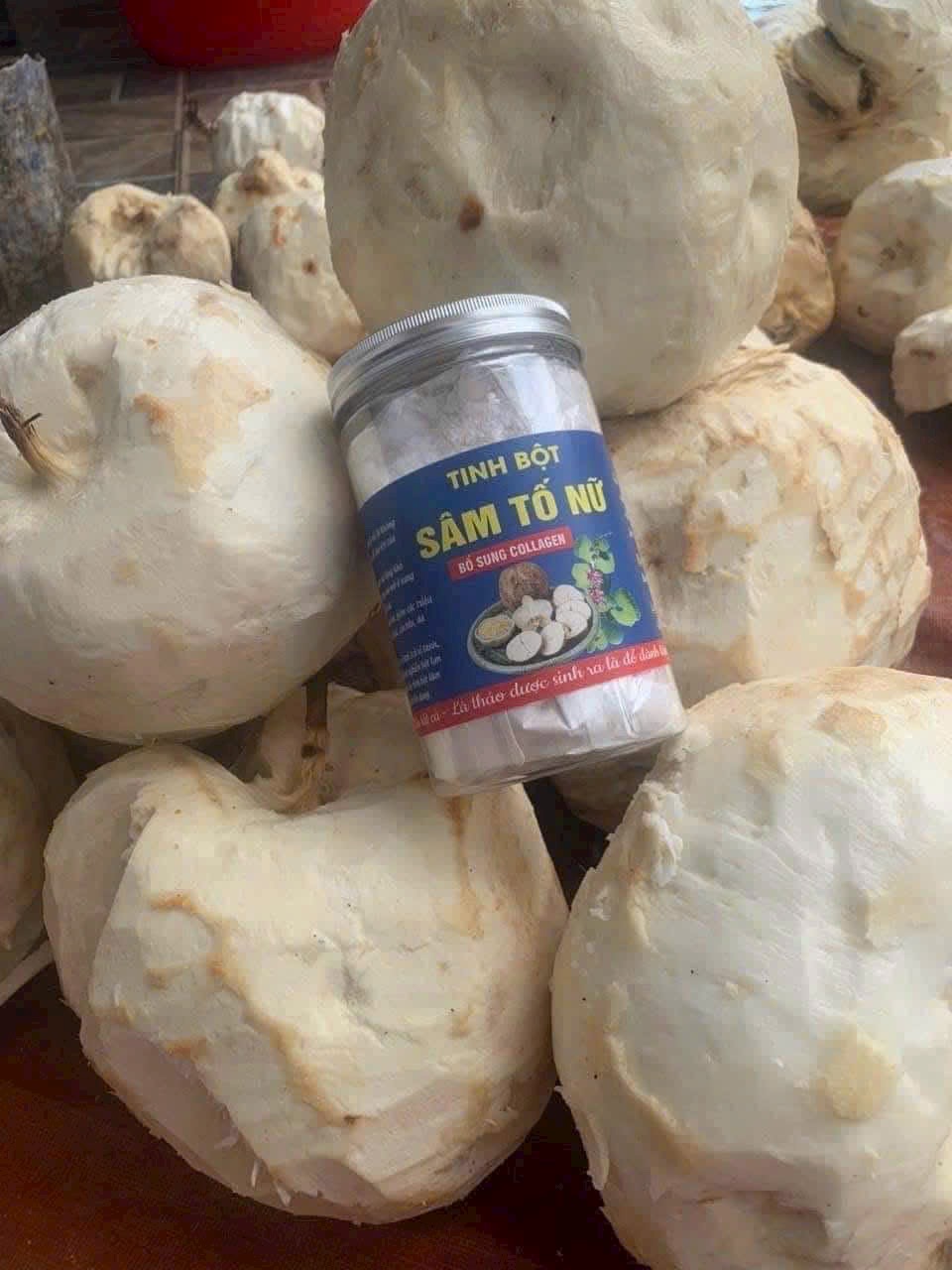 Sâm tố nữ rừng