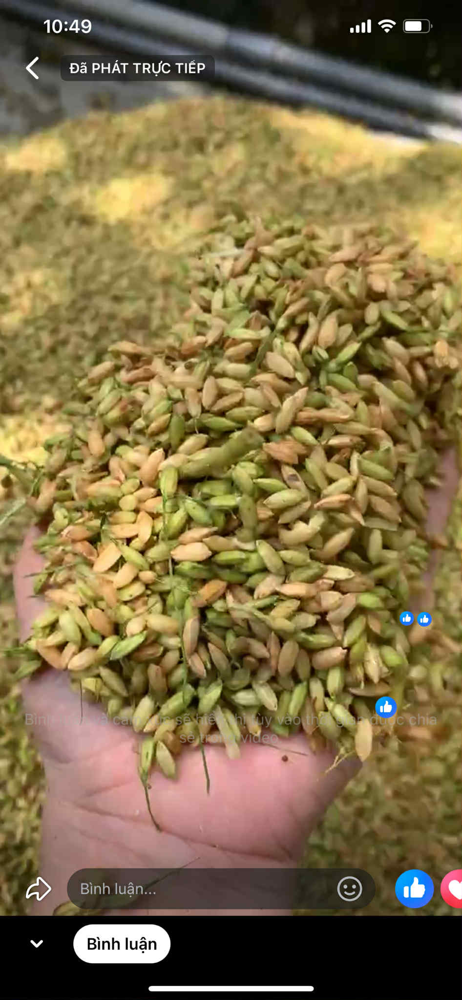 1kg cốm gạo tươi khẩu hang Nghệ An