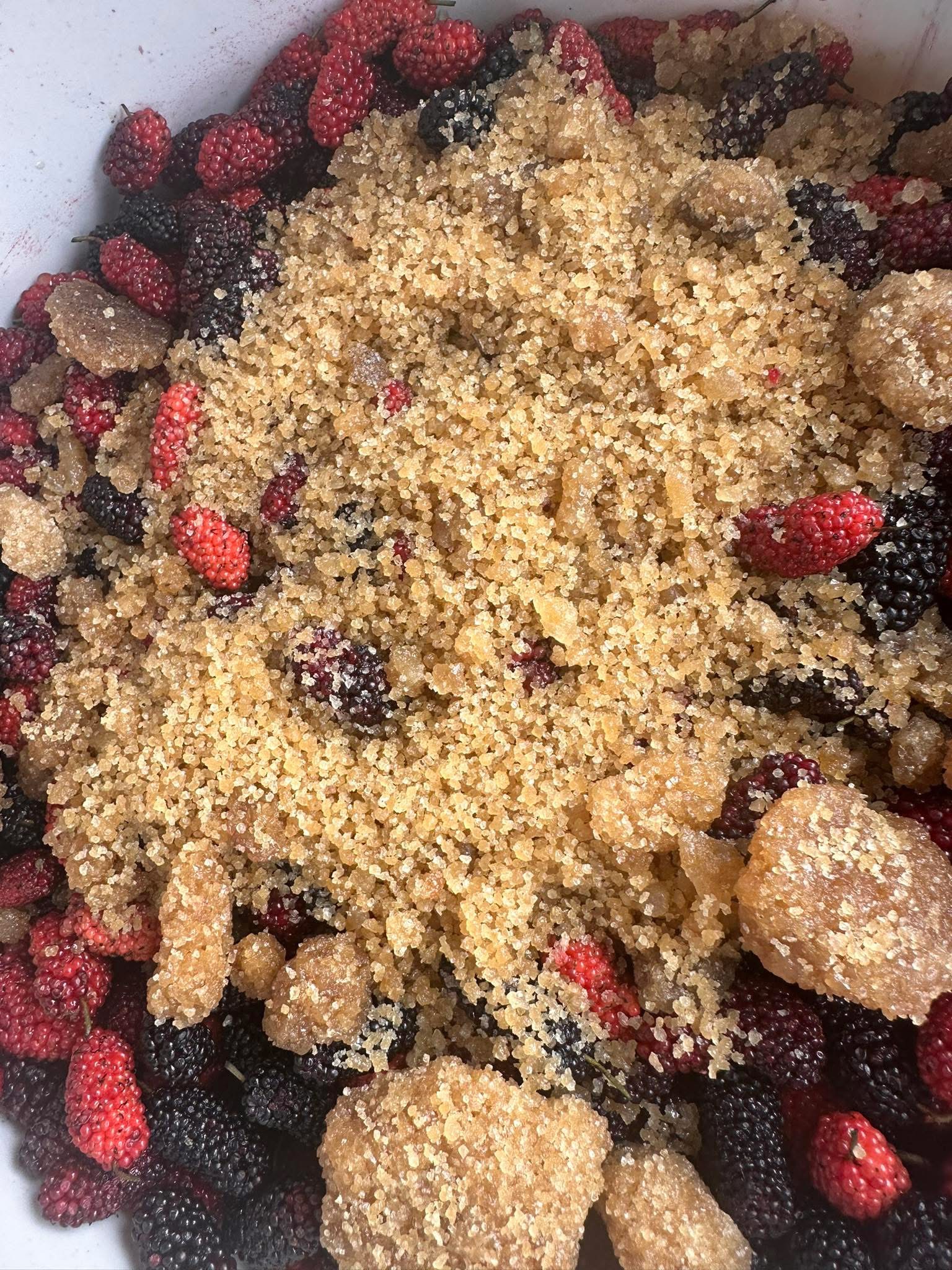 Bình 5kg dâu tằm ngâm đường phèn