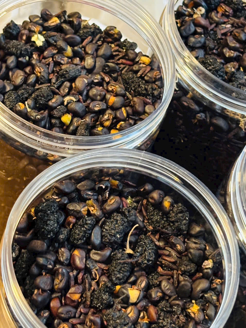 500g trà mầm dưỡng thận ngũ hắc