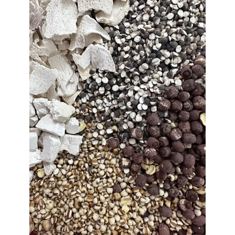 500g bột dưỡng tỳ người lớn