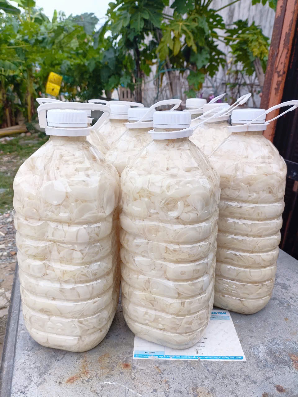 Bình 5 kg măng rừng muối