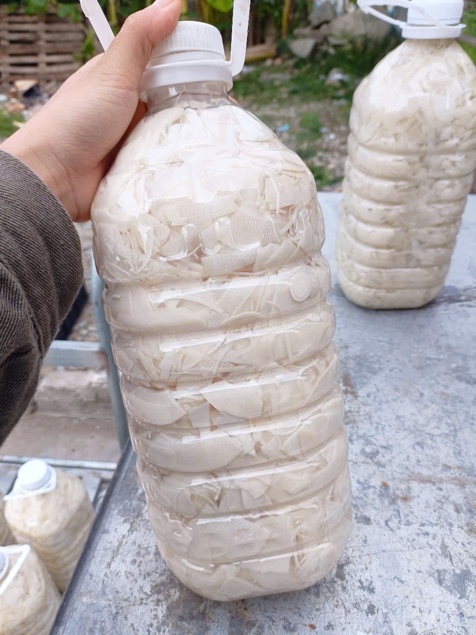 Bình 5 kg măng rừng muối