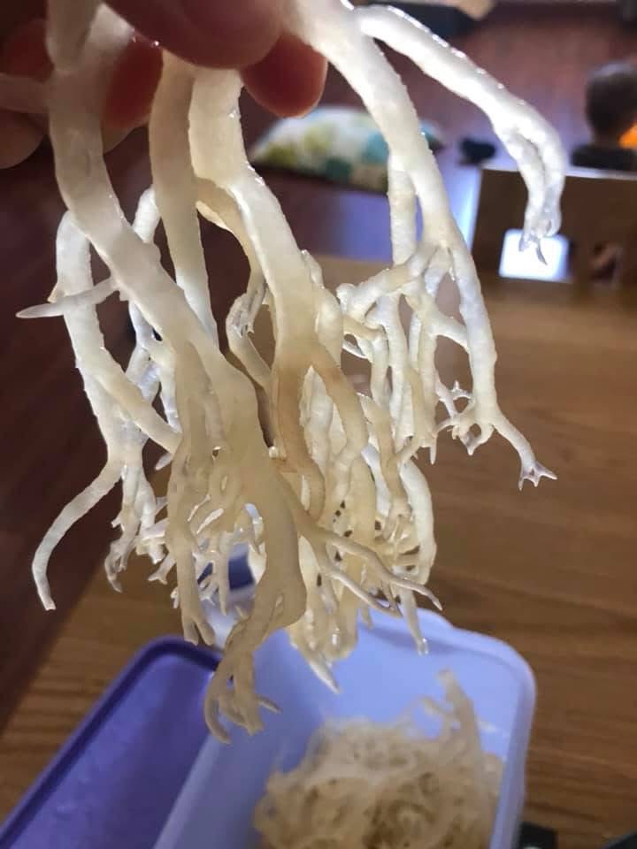 Rong sụn khô Phan rang 500g