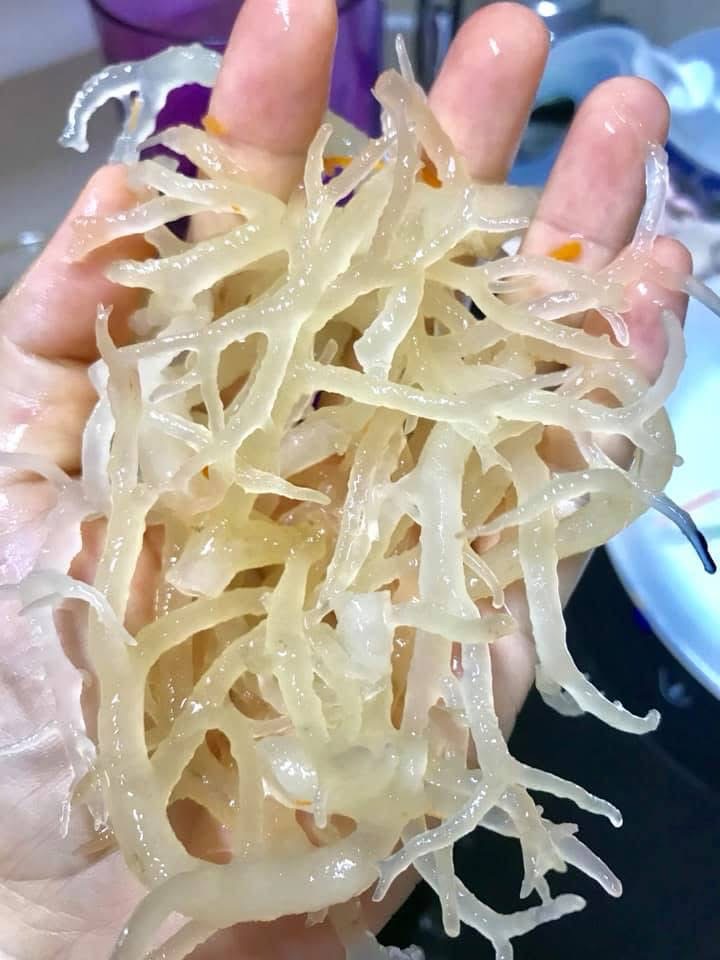 Rong sụn khô Phan rang 500g