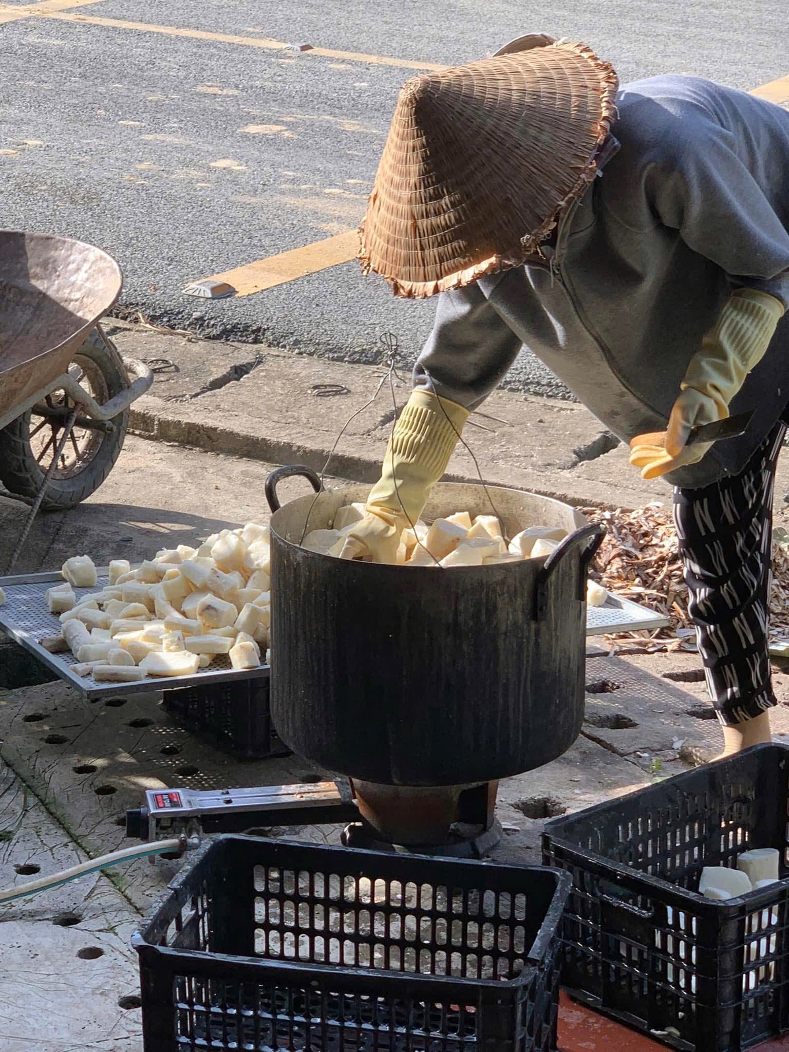 500g Củ mài rừng HOÀI SƠN SẦN chín