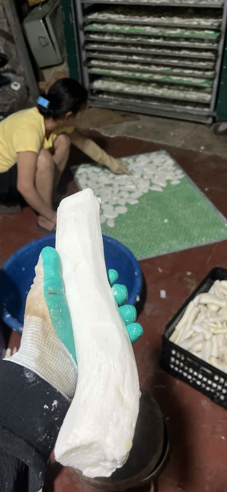 500g Củ mài rừng HOÀI SƠN SẦN chín