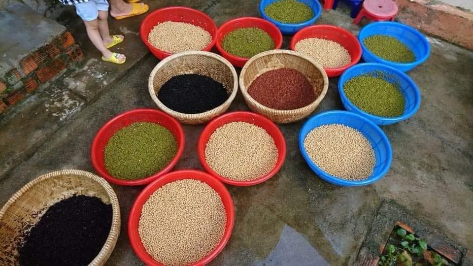 1kg Bột ngũ đậu bổ tuỷ (ĐẬU QUÊ)