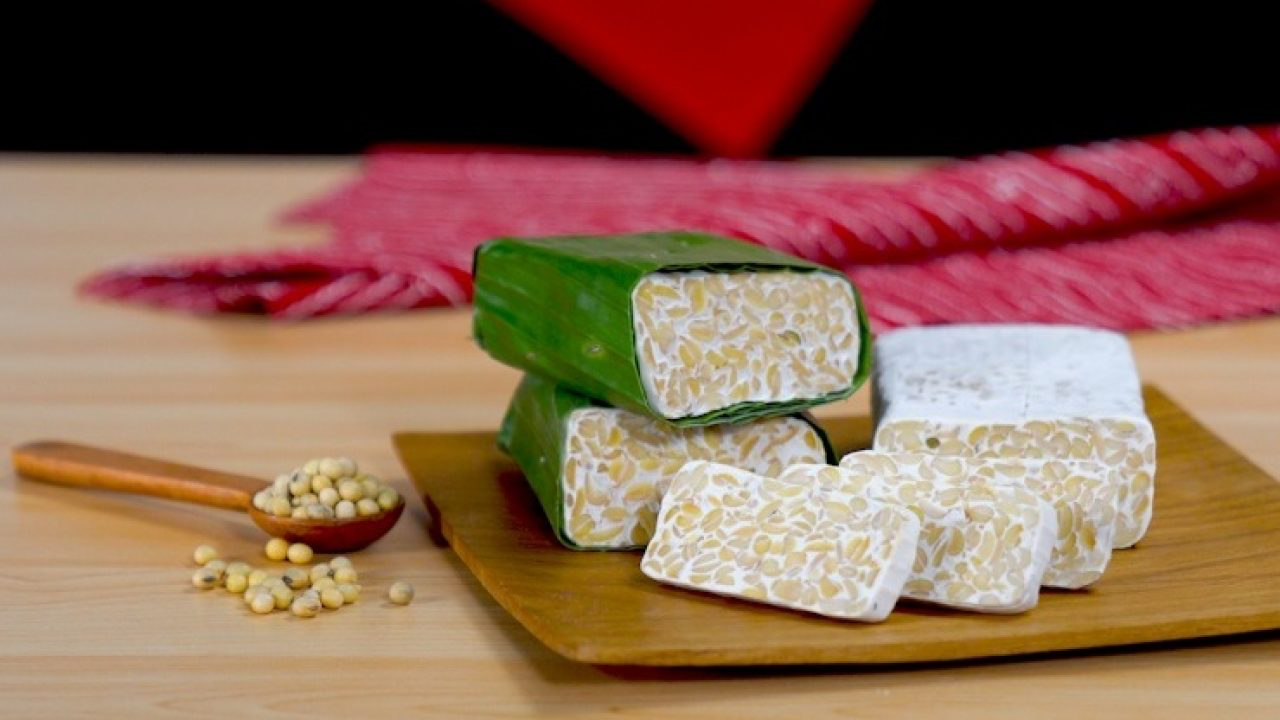 Men tempeh 50g Làm tempeh siêu dễ