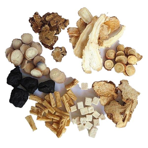  Sản phẩm bổ khí huyết