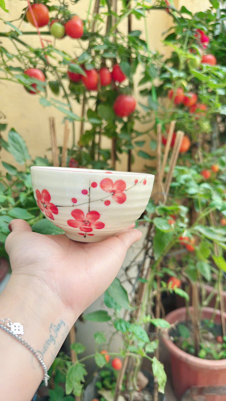BÁT CƠM MEN MÀU VẼ TAY HỌA TIẾT