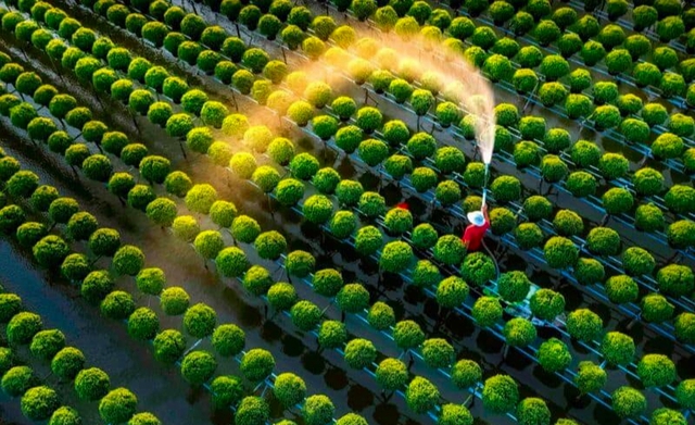 Lĩnh vực chục tỷ đô của Việt Nam 