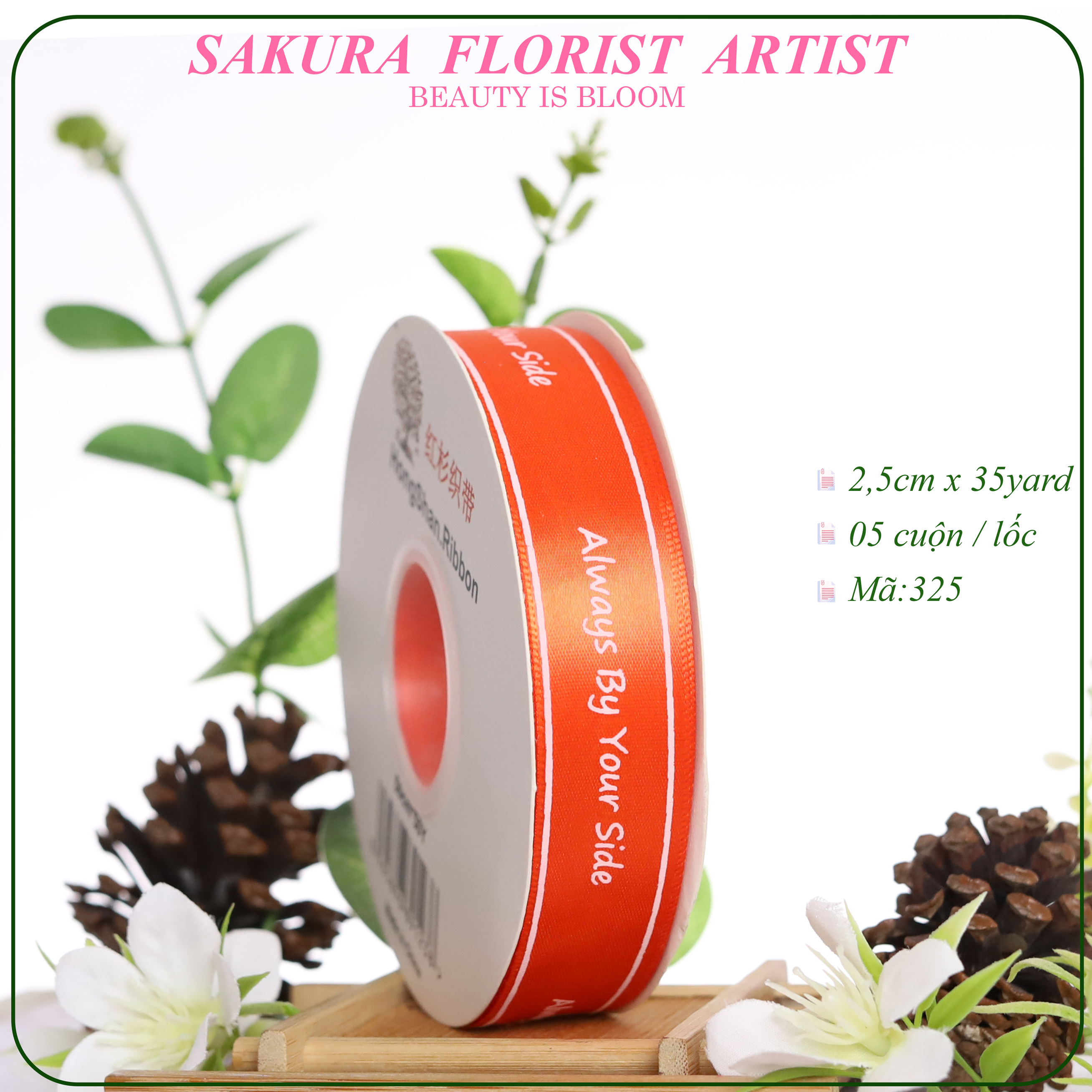 2.5cm-Ruy Băng Chanel