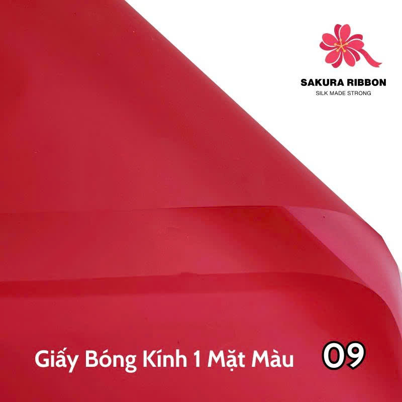 Giấy Bóng Kính (ACU)