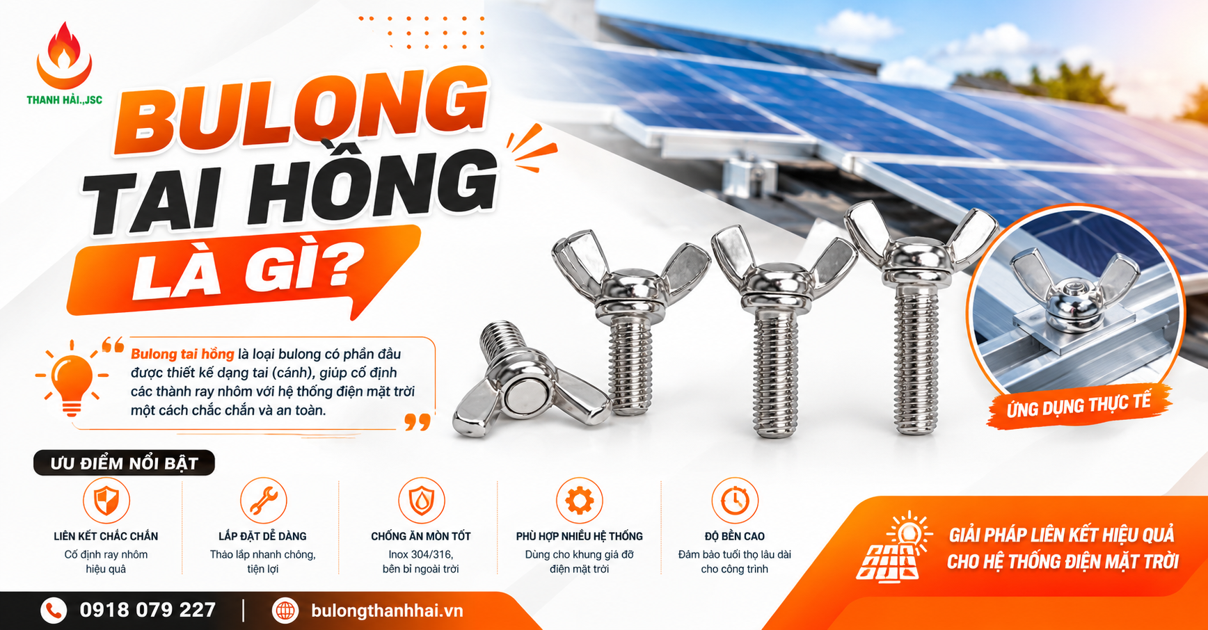 Bulong tai hồng là gì? Cấu tạo, công dụng và đặc điểm nổi bật