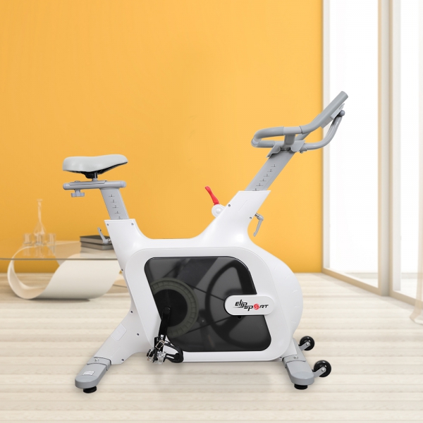 Xe đạp tập ELIP Marcus