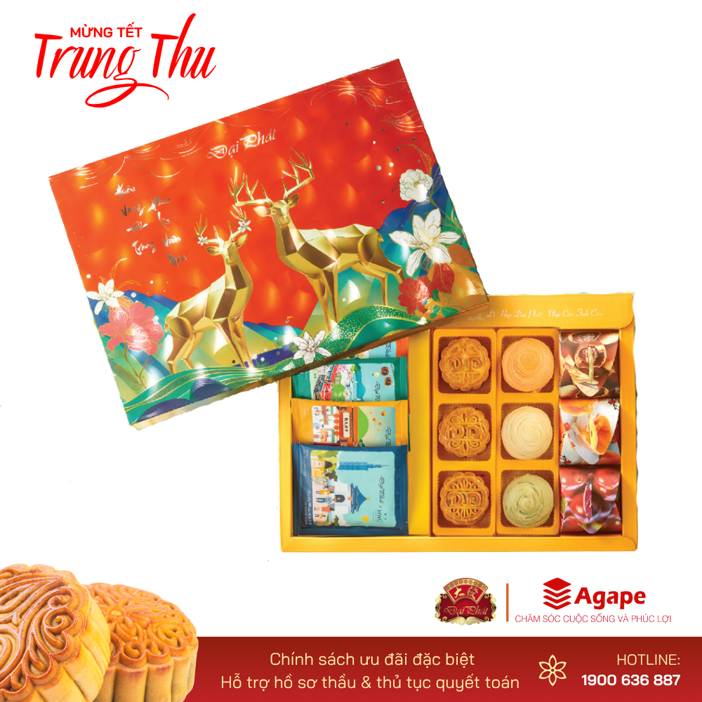 LỄ HỘP CAO CẤP