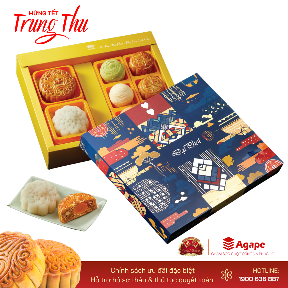 LỄ HỘP ĐẶC BIỆT