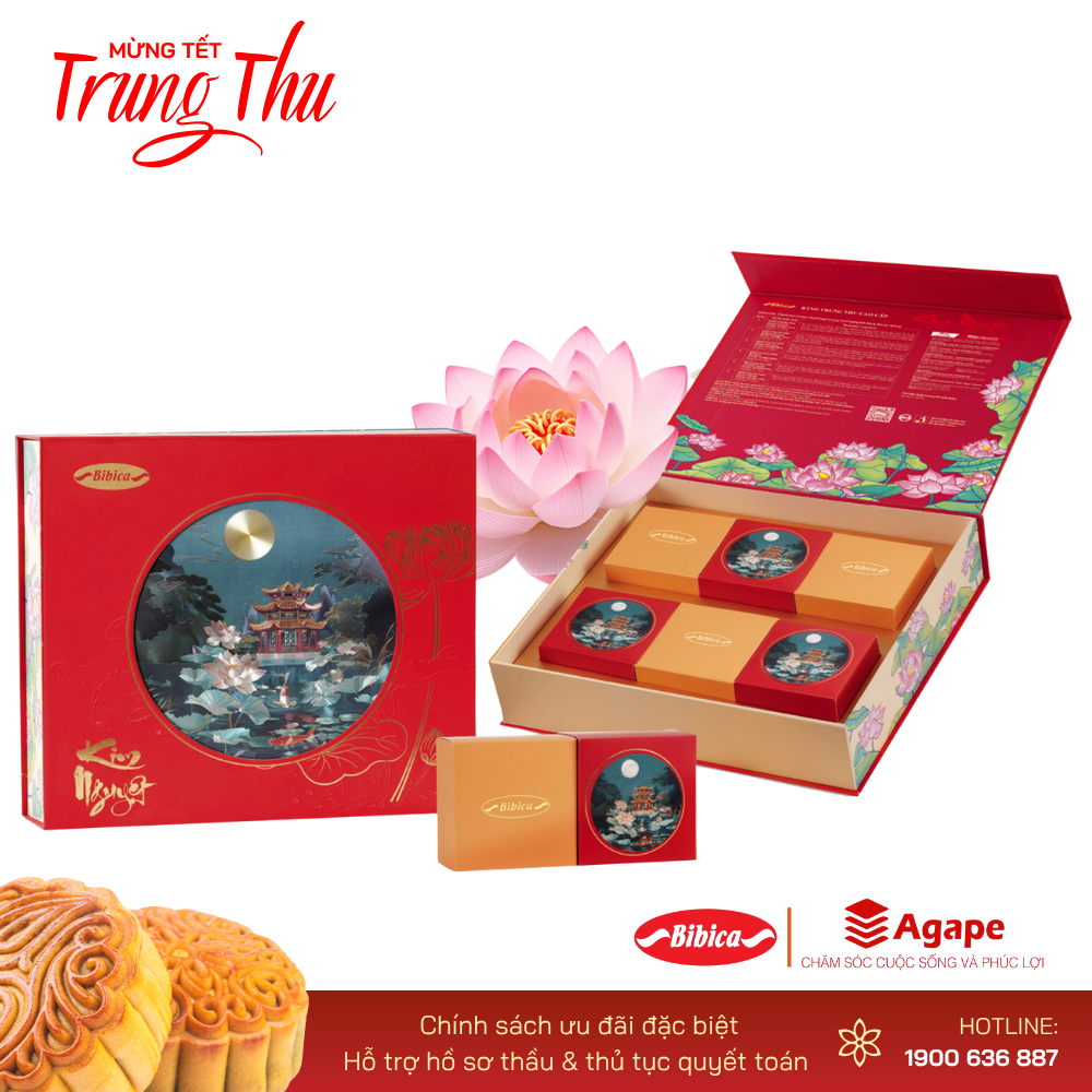 BIBICA KIM NGUYỆT (6 bánh 480g)
