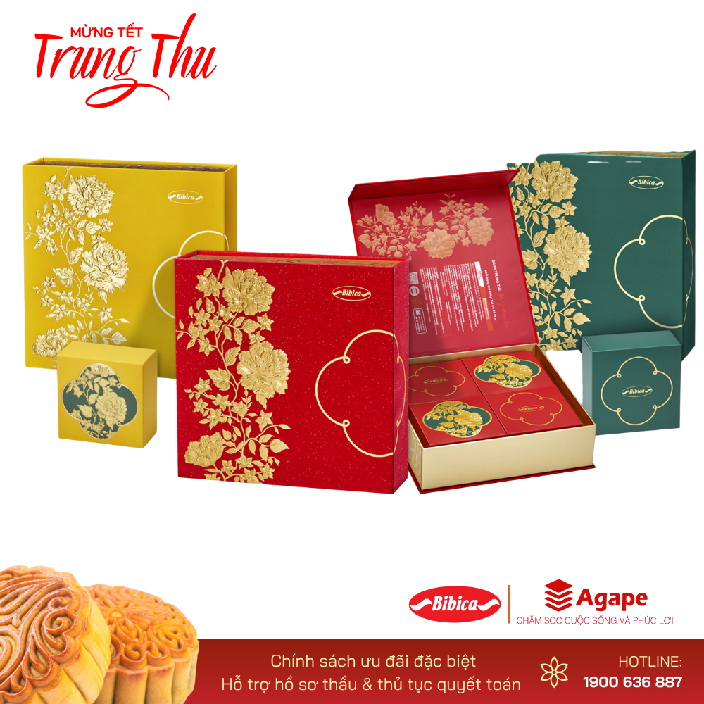 BIBICA LỄ HỘI SẮC MÀU (4 bánh 600g)