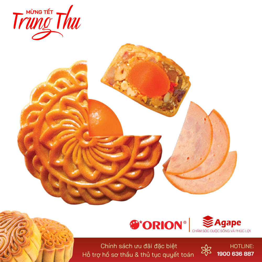 ORION THẬP CẨM DĂM BÔNG