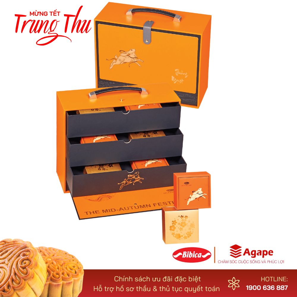 BIBICA THƯỞNG NGUYỆT 1 (6 bánh 720g)