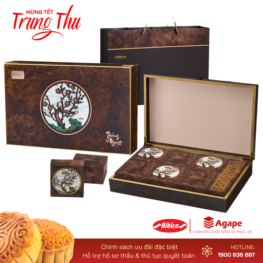 BIBICA THƯỞNG NGUYỆT 2 (6 bánh 720g)