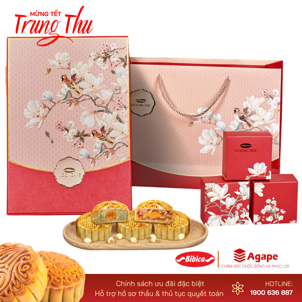 BIBICA  TUYẾT NGUYỆT (4 bánh 480g)