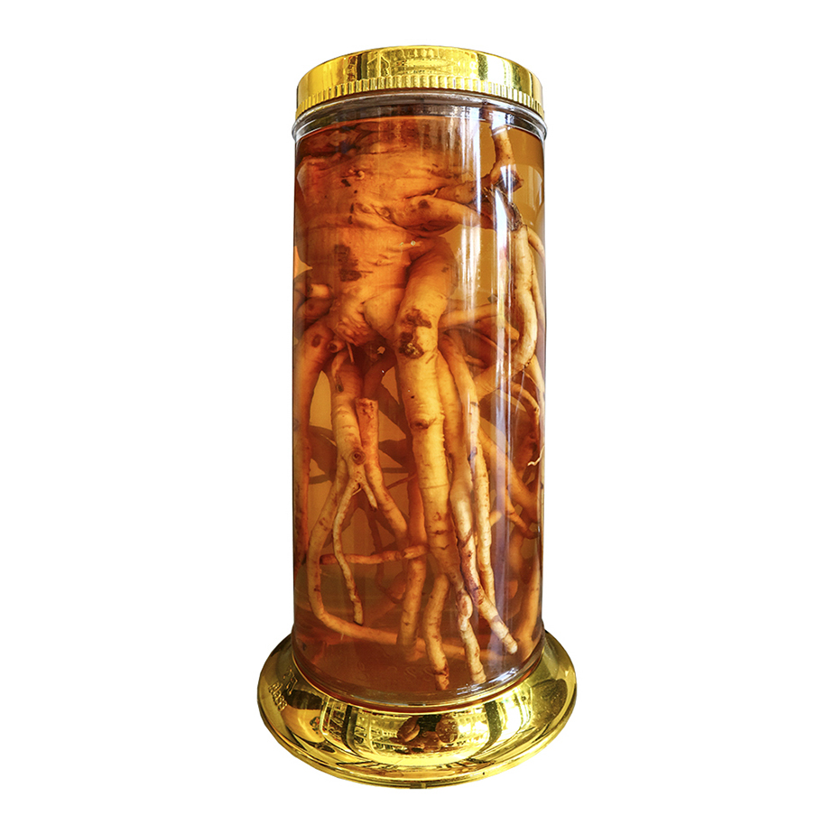 Hướng dẫn lựa chọn bình ngâm rượu đinh lăng