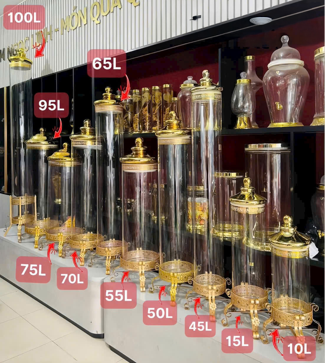 Bình ngâm rượu trên 50 lít