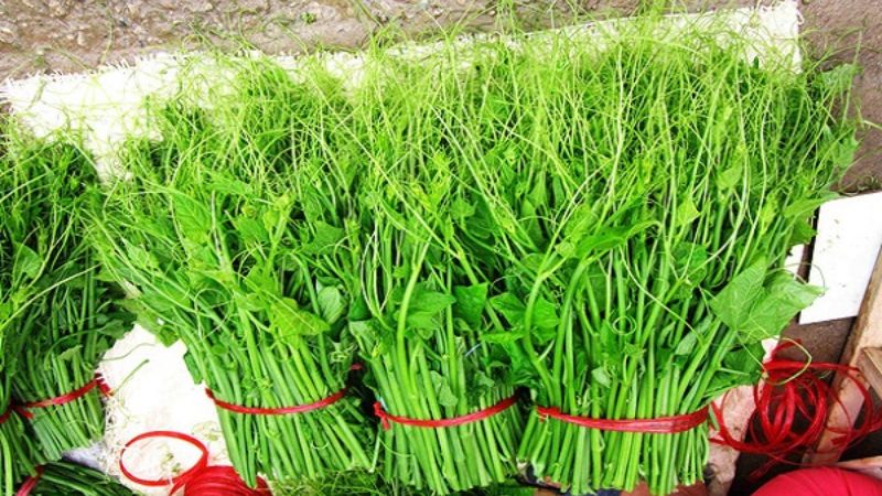 Tam Đảo có đặc sản gì? 15 đặc sản Tam Đảo ngon nên thử và mua làm quà