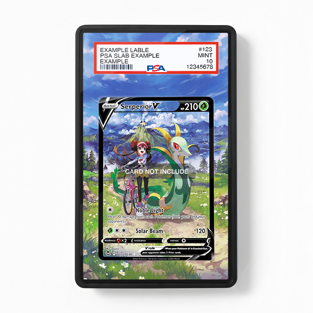 Khung thiết kế Serperior V TG13 Trainer Gallery Silver Tempest bảo vệ thẻ bài - Extended Art Case for trading card Pokemon