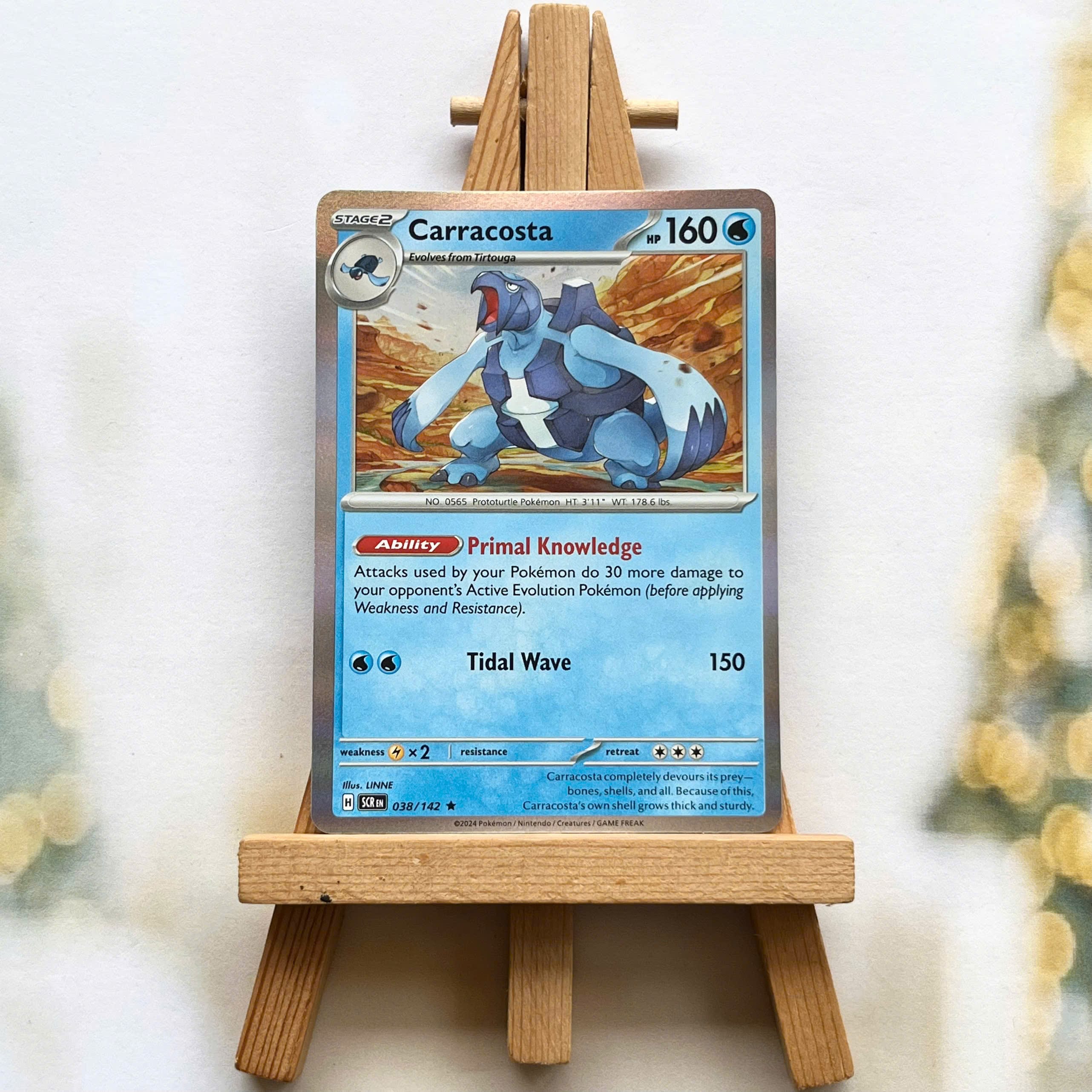 Thẻ hình Pokemon Carracosta 038/142 - Lá bài lẻ Stellar Crown Reverse Holo Rare tiếng Anh chính hãng
