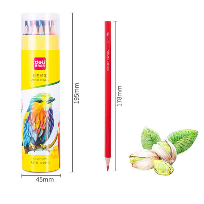 Chì màu deli 7070-24