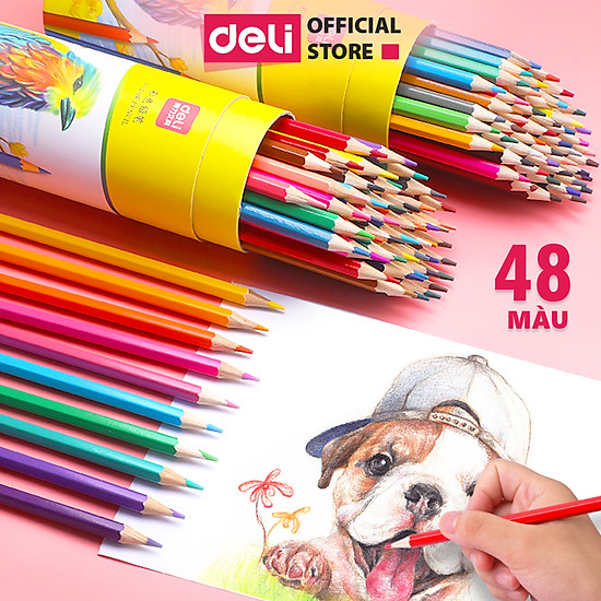 Chì màu deli 7070-48 màu