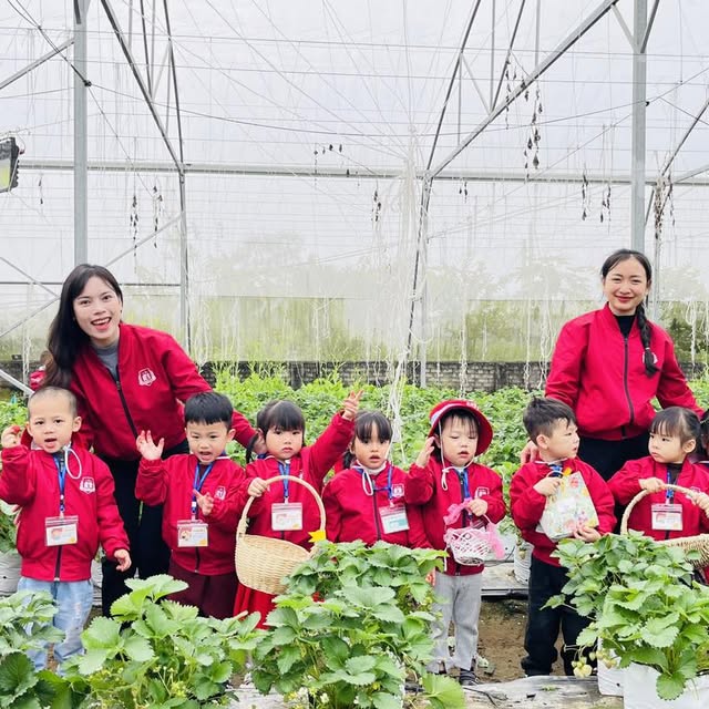 Trải nghiệm hái dâu tây tuyệt vời của các bạn nhỏ Starlight