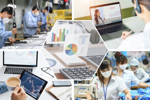 Tình Trạng Việc Làm Tại Việt Nam: Thực Trạng và Cơ Hội Phát Triển
