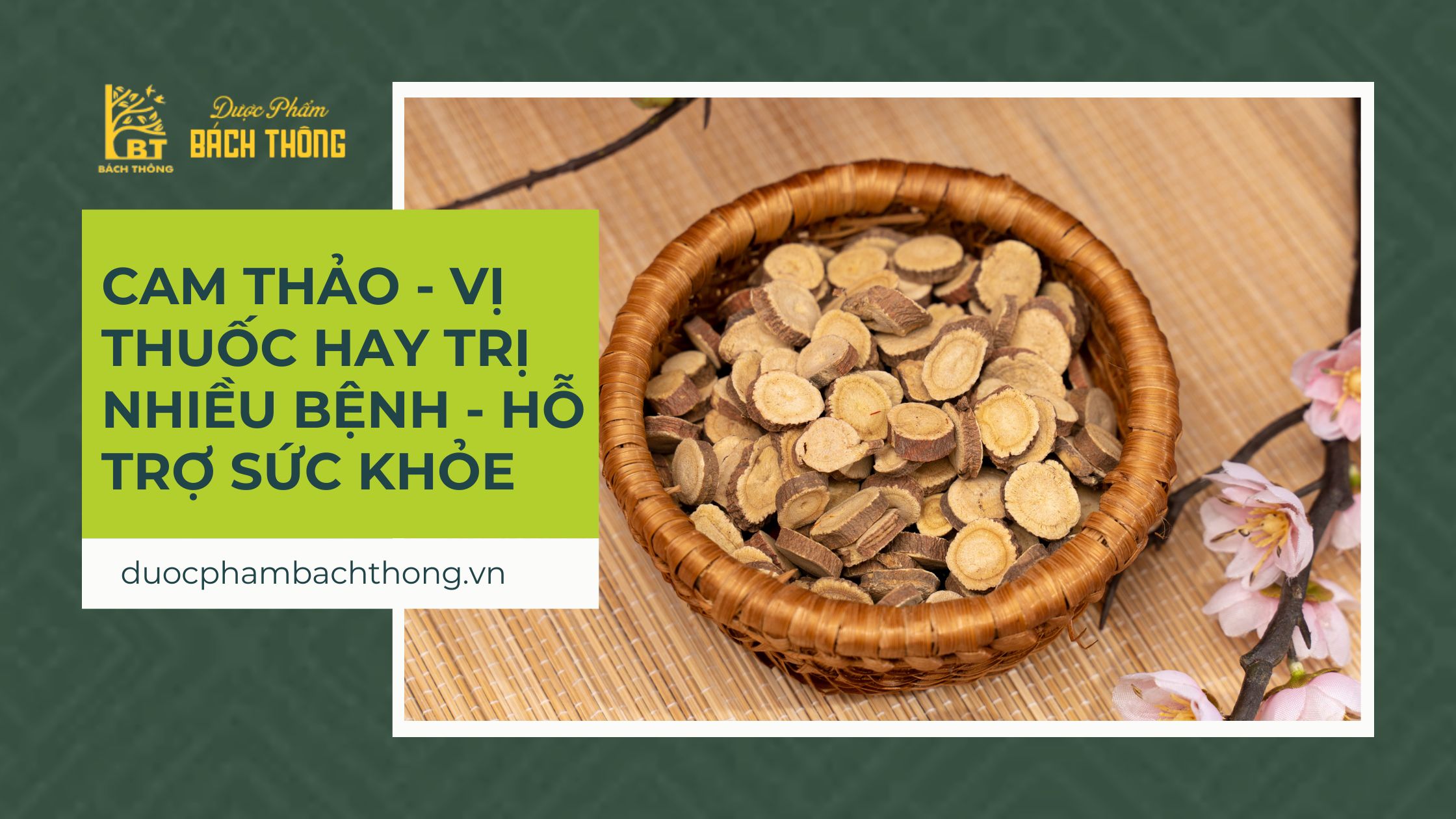 Cam Thảo - Vị thuốc hay trị nhiều bệnh