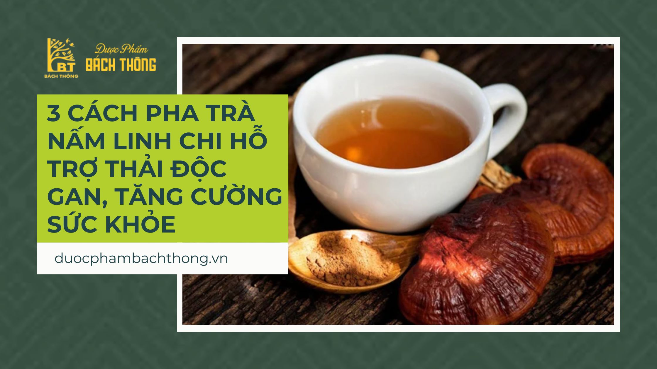 HƯỚNG DẪN SỬ DỤNG LINH CHI - 3 cách pha trà nấm linh chi hỗ trợ thải độc gan, tăng cường  sức khỏe