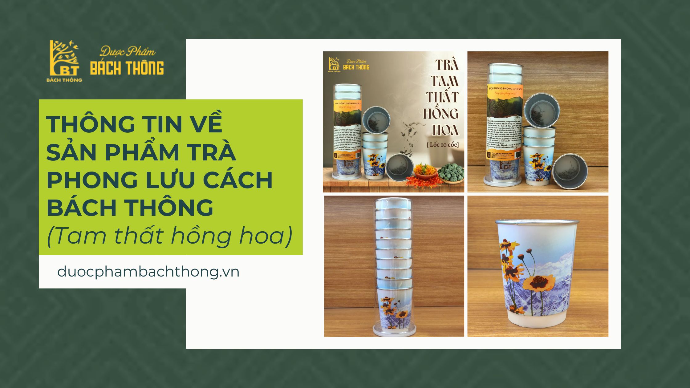 HƯỚNG DẪN SỬ DỤNG TRÀ TAM THẤT HỒNG HOA - LƯU PHONG CÁCH