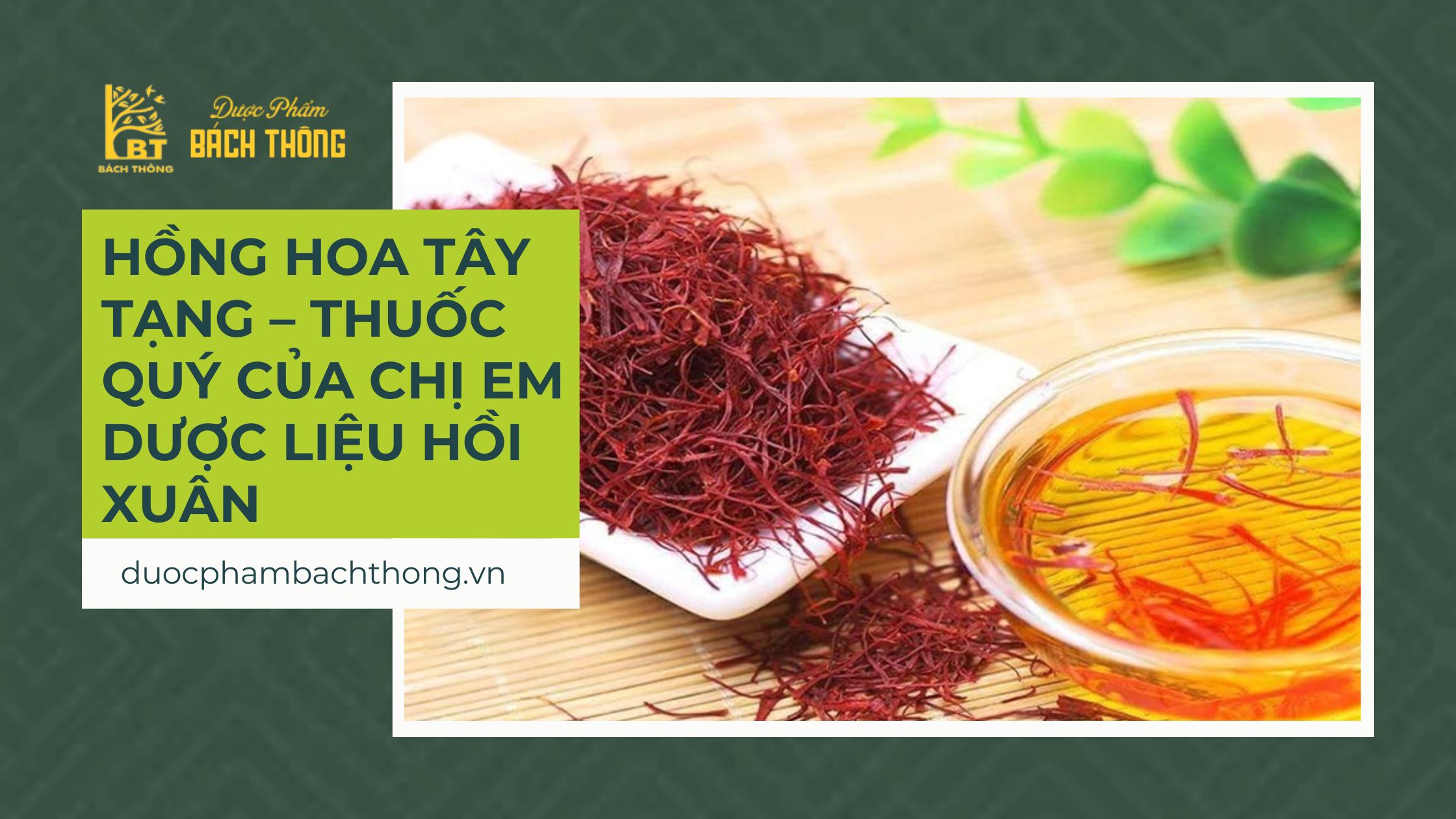 Hồng Hoa Tây Tạng – thuốc quý của chị em