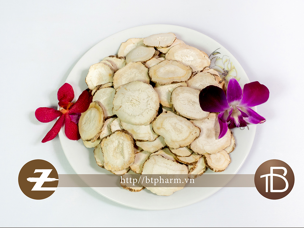 Bạch chỉ phiến