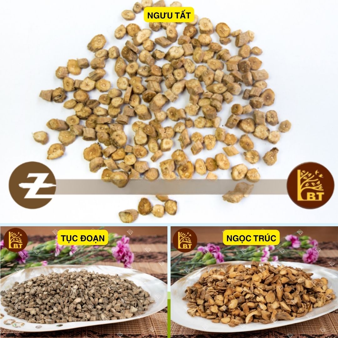 Bách Thông Đại Bổ - Ngâm Rượu